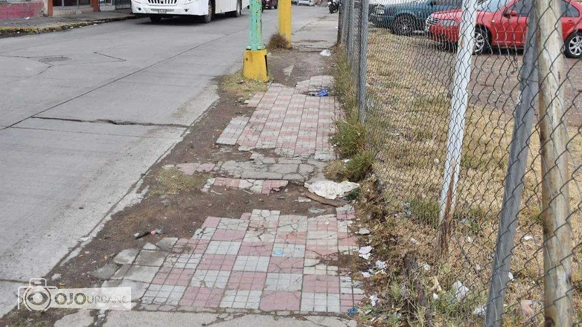 WhatsApp Image 2026-03-22 at 16.12.33