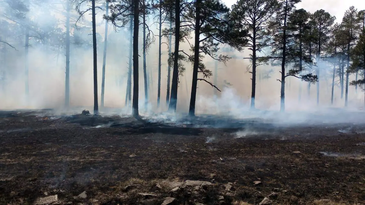 WhatsApp Image 2026-03-23 at 21.20.50