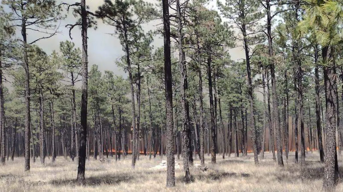 WhatsApp Image 2026-03-23 at 21.20.50 (1)