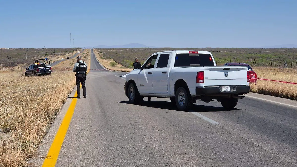 3d106063-0acb-44dd-9c38-7febf7e0eb64