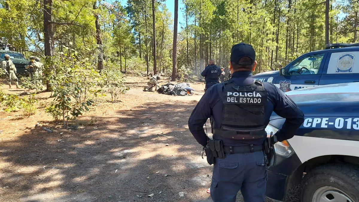 86e7bb46-84d5-4ba5-a37e-bc4d0d2a158b