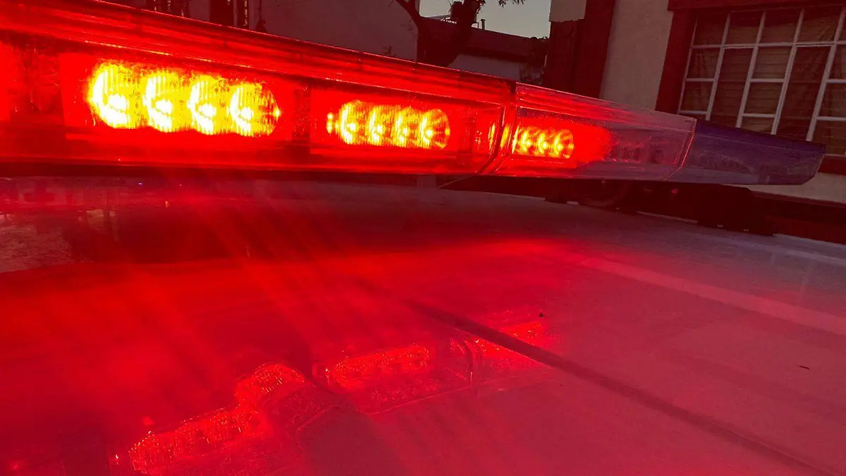 WhatsApp Image 2026-03-26 at 3.55.34 PM