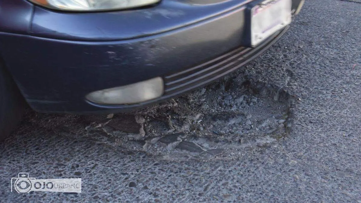 WhatsApp Image 2026-03-27 at 4.11.11 PM