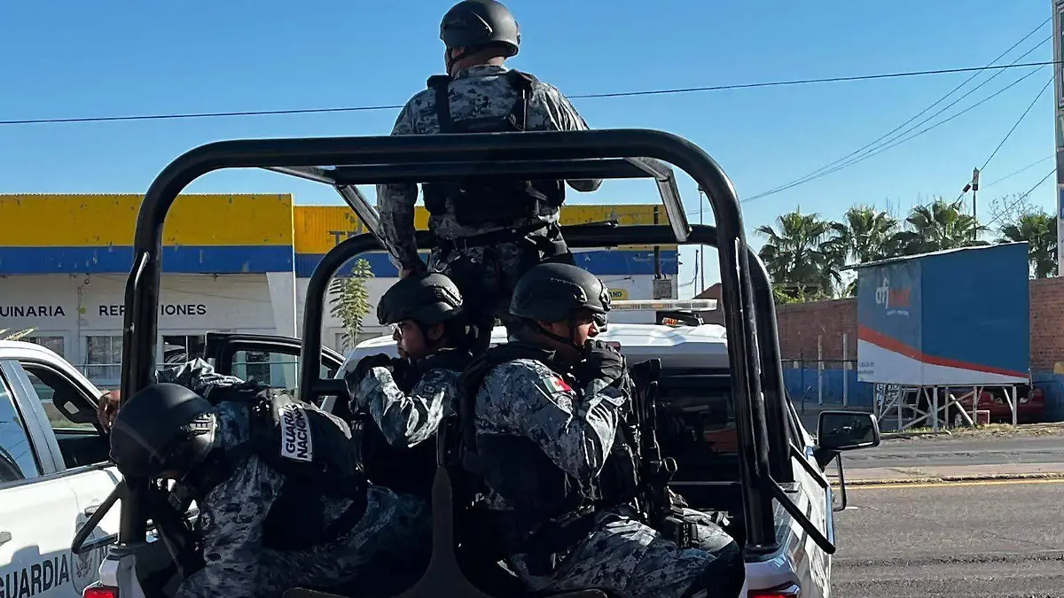 0d6d3391-24d9-4003-9d61-5e5da8e692fe