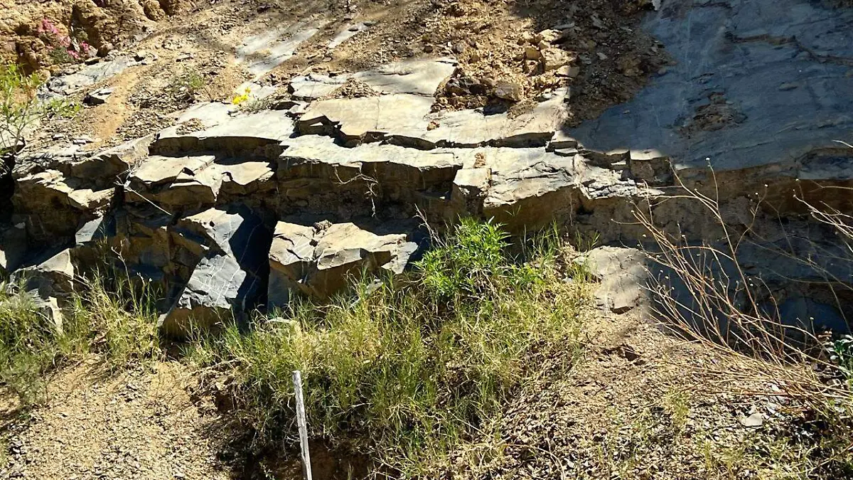 4127c9a6-27d4-406f-999a-c802ce61d372