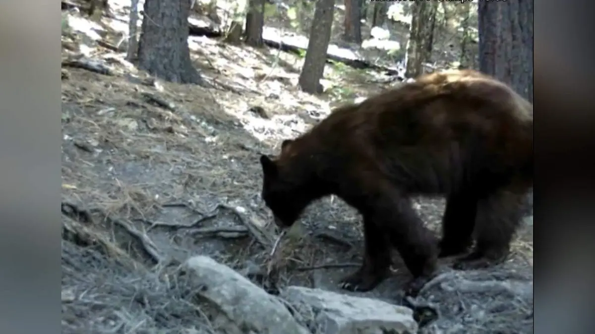 CBE01688-D460-4541-9329-0938167A75F1