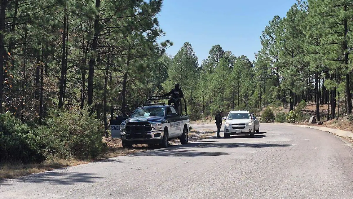 7c24512f-c264-4de9-a2c4-c38712e139f6