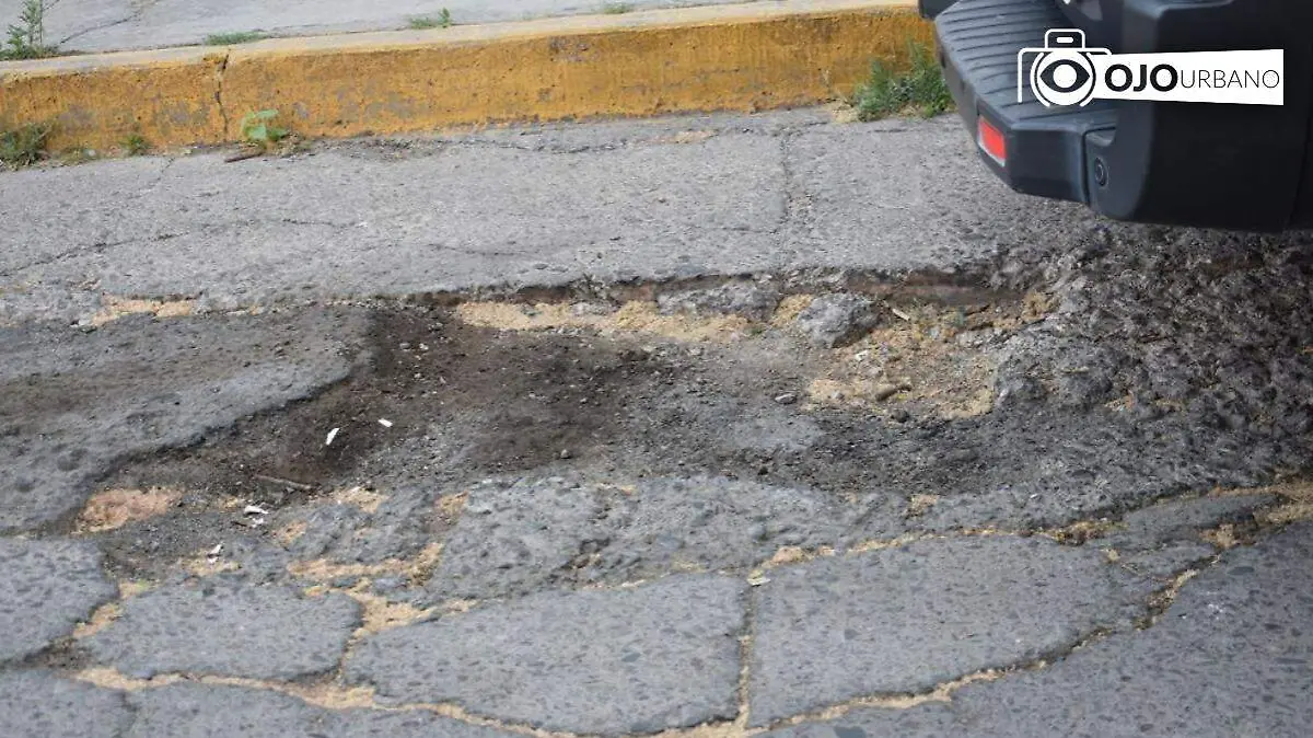 WhatsApp Image 2026-03-30 at 16.36.52