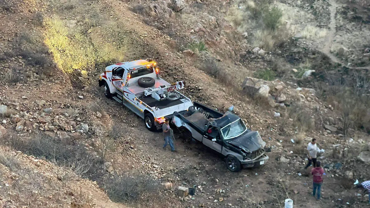 WhatsApp Image 2026-04-01 at 19.29.50