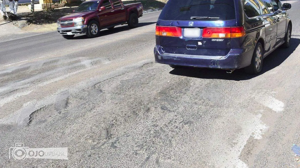 WhatsApp Image 2026-04-03 at 4.31.42 PM