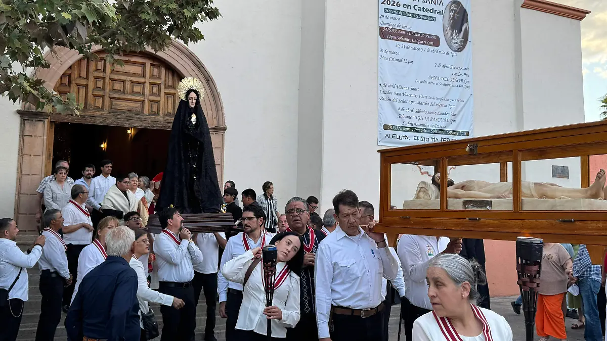 WhatsApp Image 2026-04-03 at 19.50.12