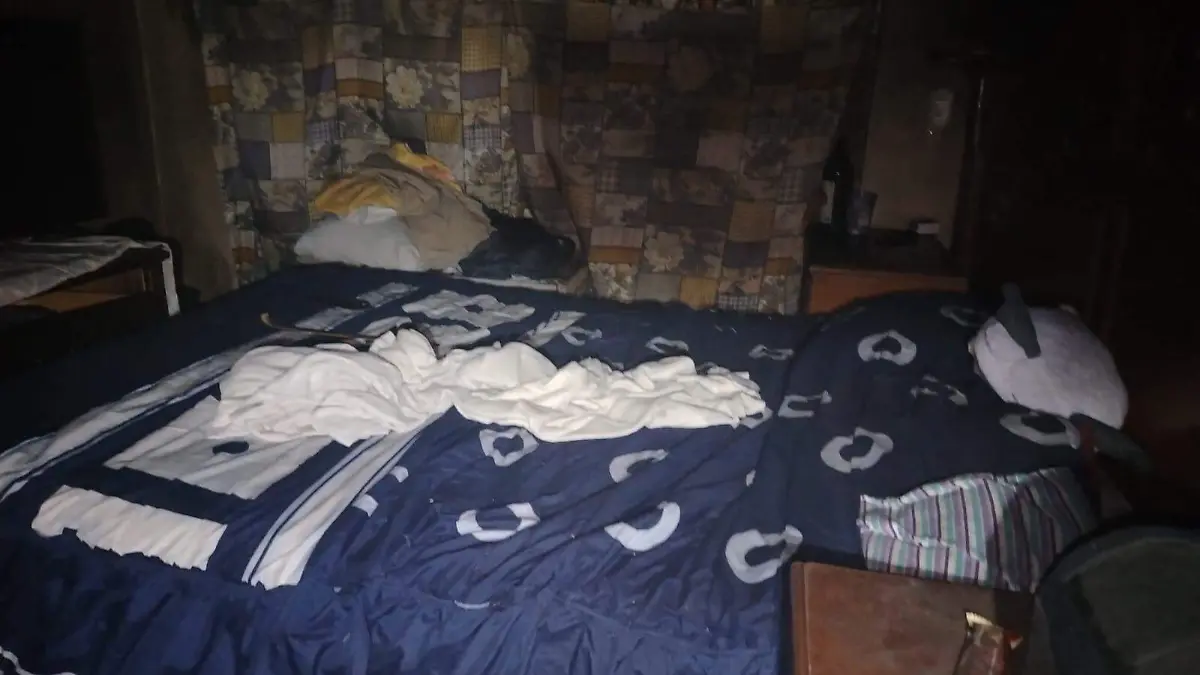 10137a66-b9a6-4b3b-b740-e2490bd8744c