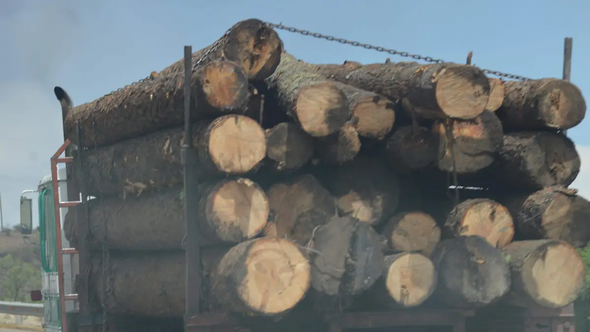 madera 1