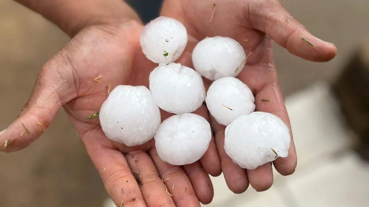 WhatsApp Image 2026-04-05 at 20.37.04 (3)