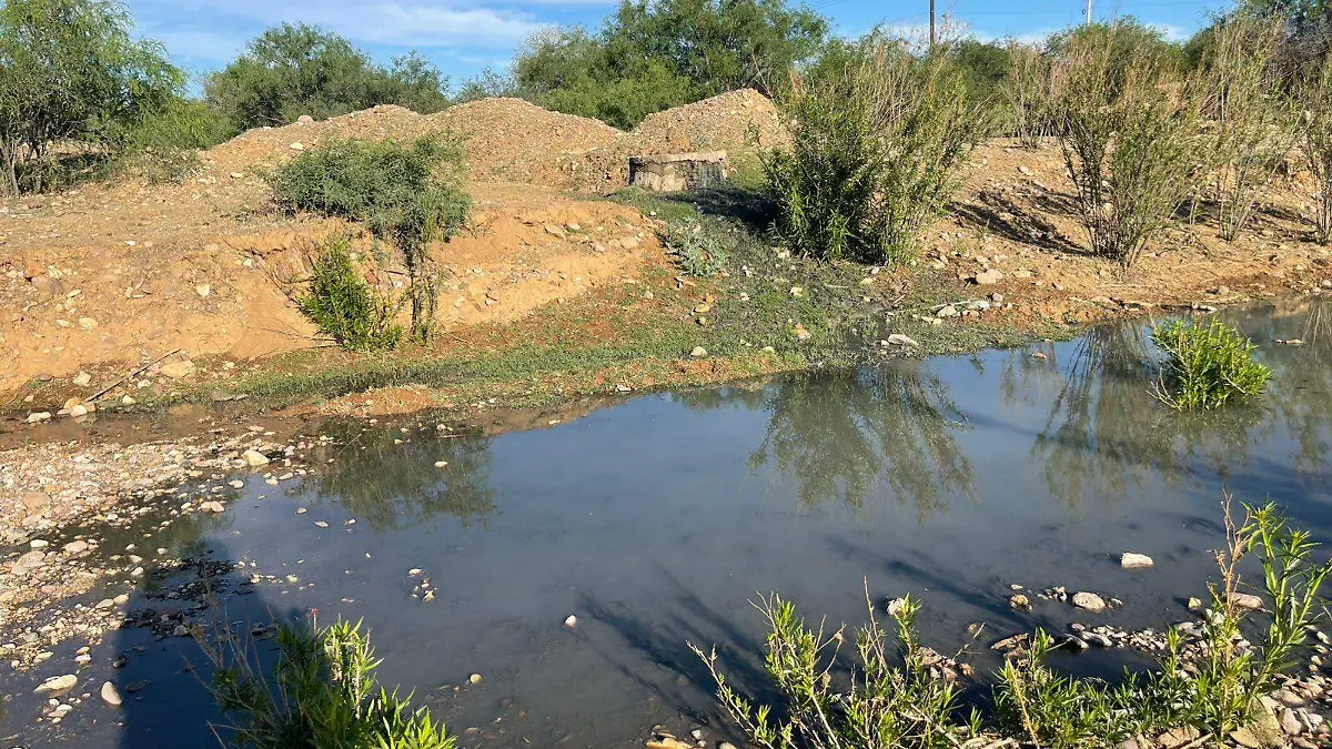 WhatsApp Image 2026-04-06 at 18.37.39