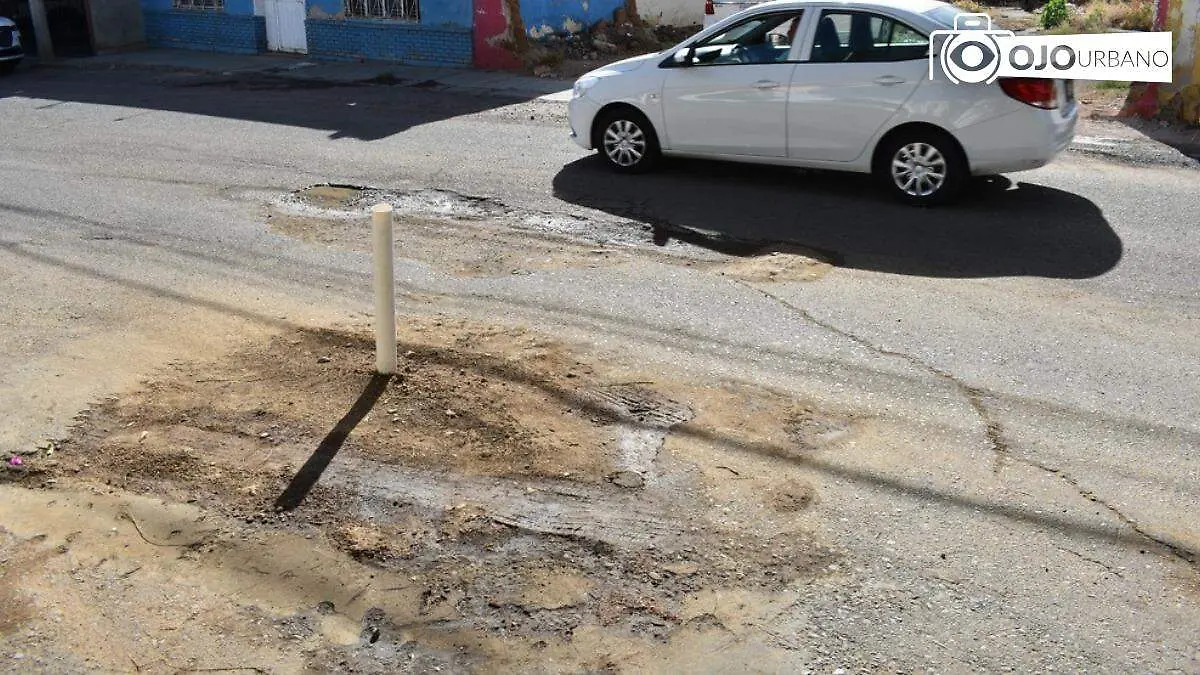 WhatsApp Image 2026-04-07 at 16.10.21