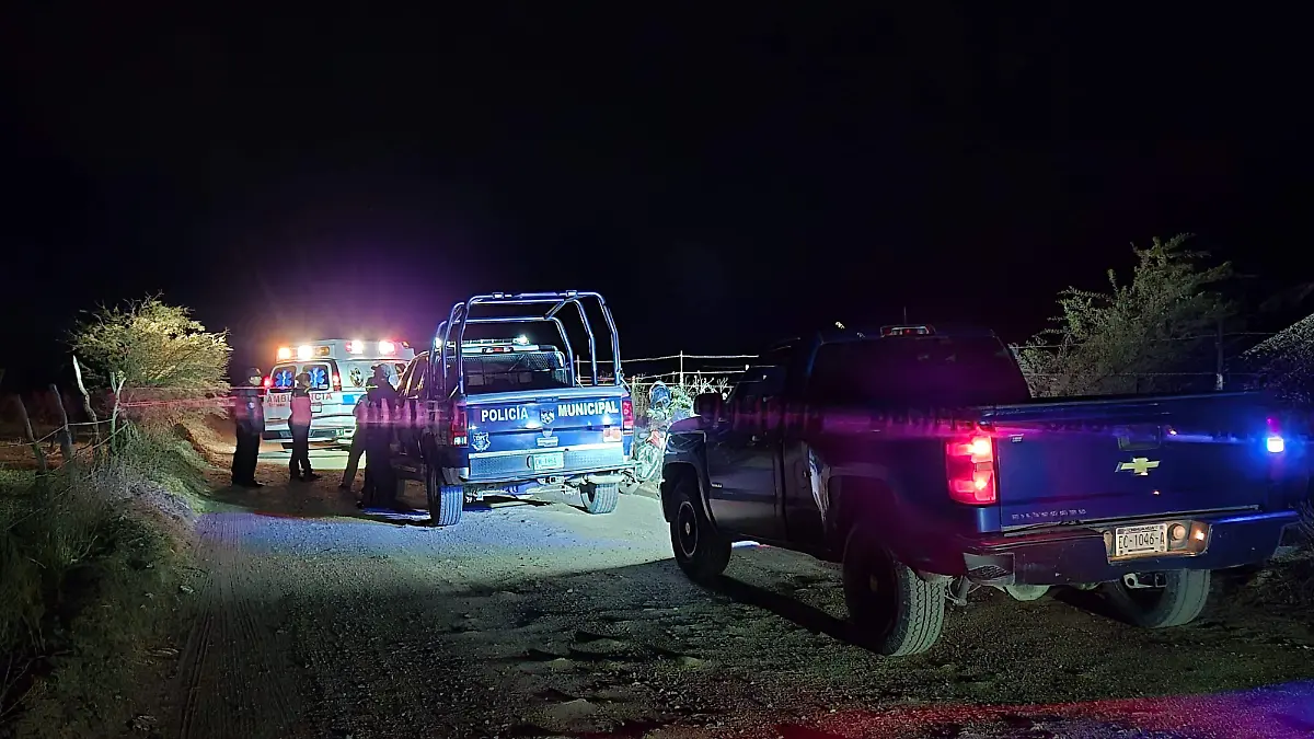 WhatsApp Image 2026-04-07 at 22.01.26