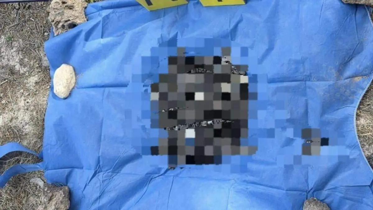 44073f20-10fd-47a5-997c-dd9bcf8680f7