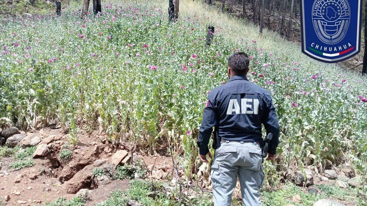 903fe443-1d81-4bf4-9702-5659dde6ebb1