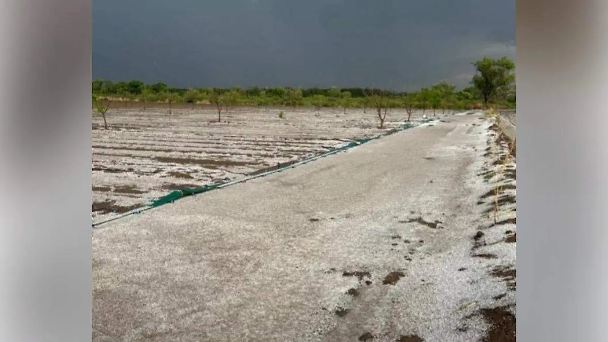 granizo1.jpg