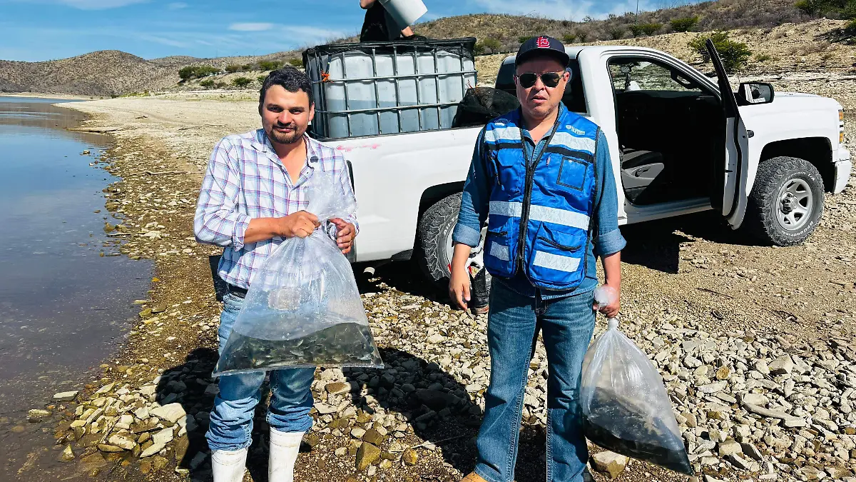 d4c18a2c-1dd8-4bc8-a0d8-5f73c5b75614