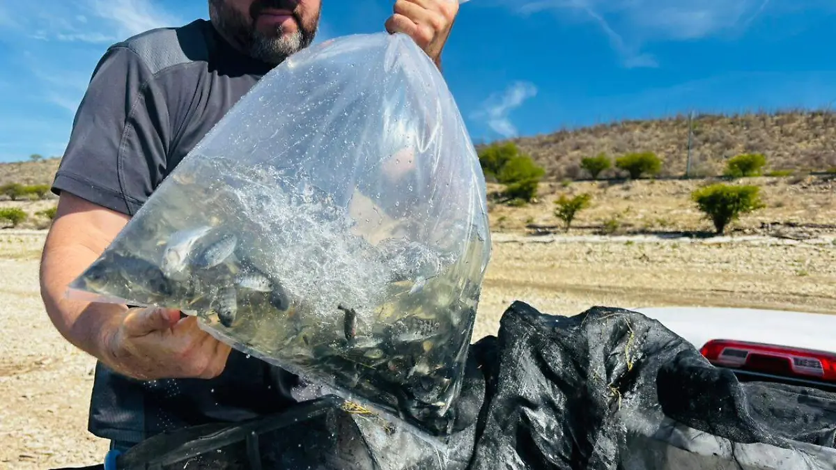 WhatsApp Image 2026-04-11 at 12.30.33 PM