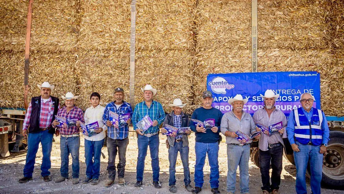 e70e2f79-b261-4848-874c-faff7d8c97b7