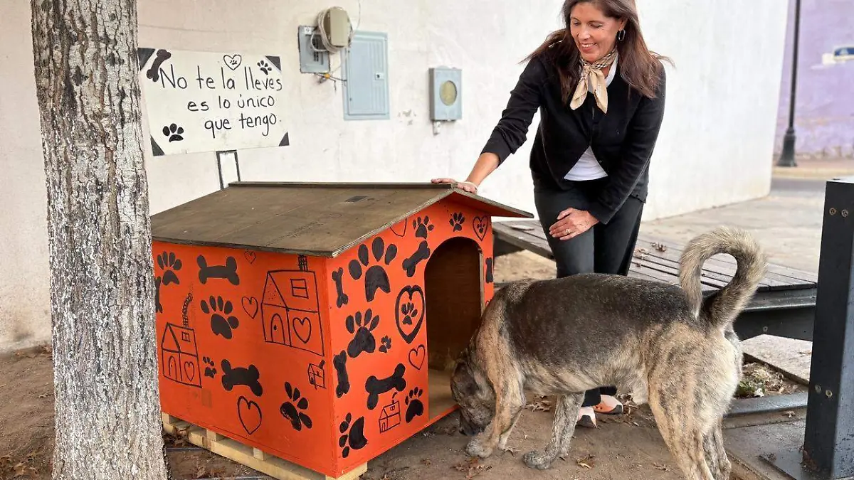 bc5524c9-a1e2-4202-a434-414727b2aef9