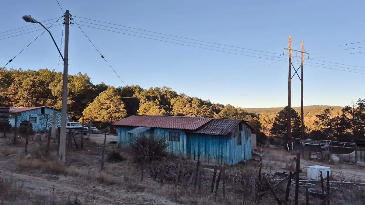 WhatsApp Image 2026-04-14 at 3.09.47 PM