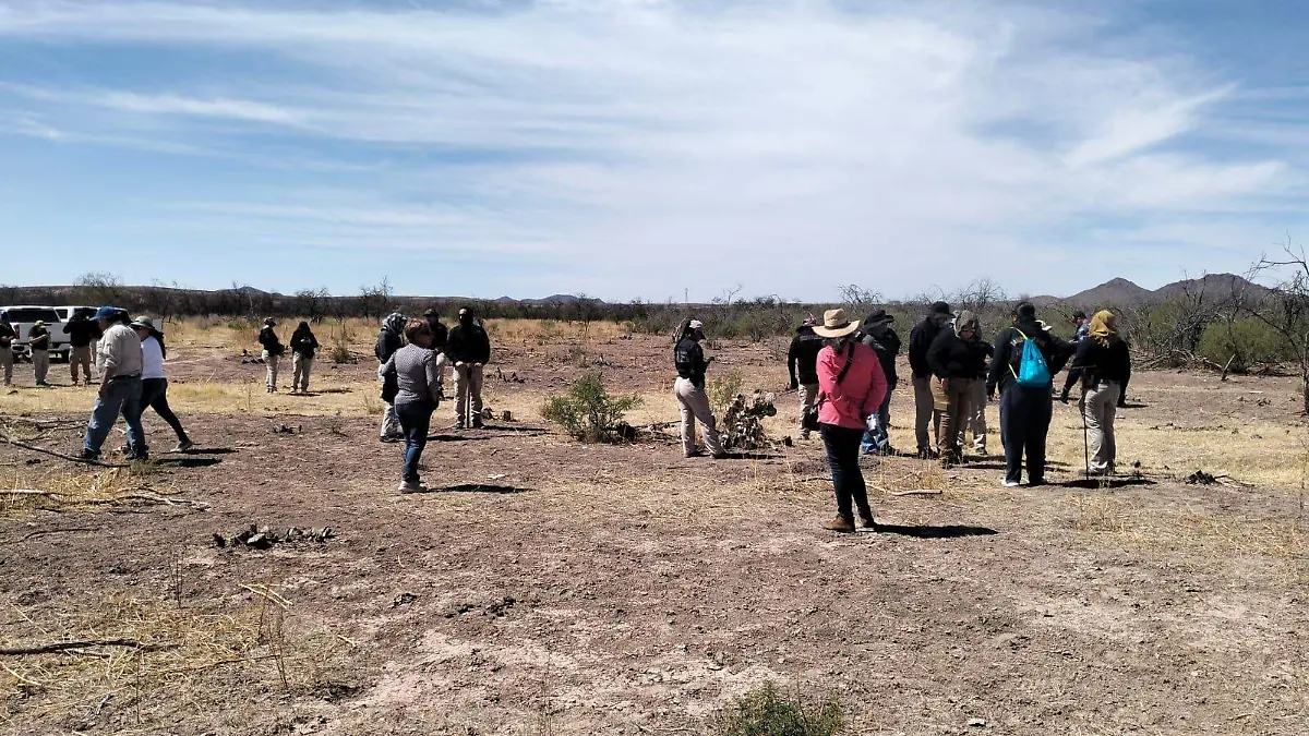 WhatsApp Image 2026-04-14 at 1.25.33 PM