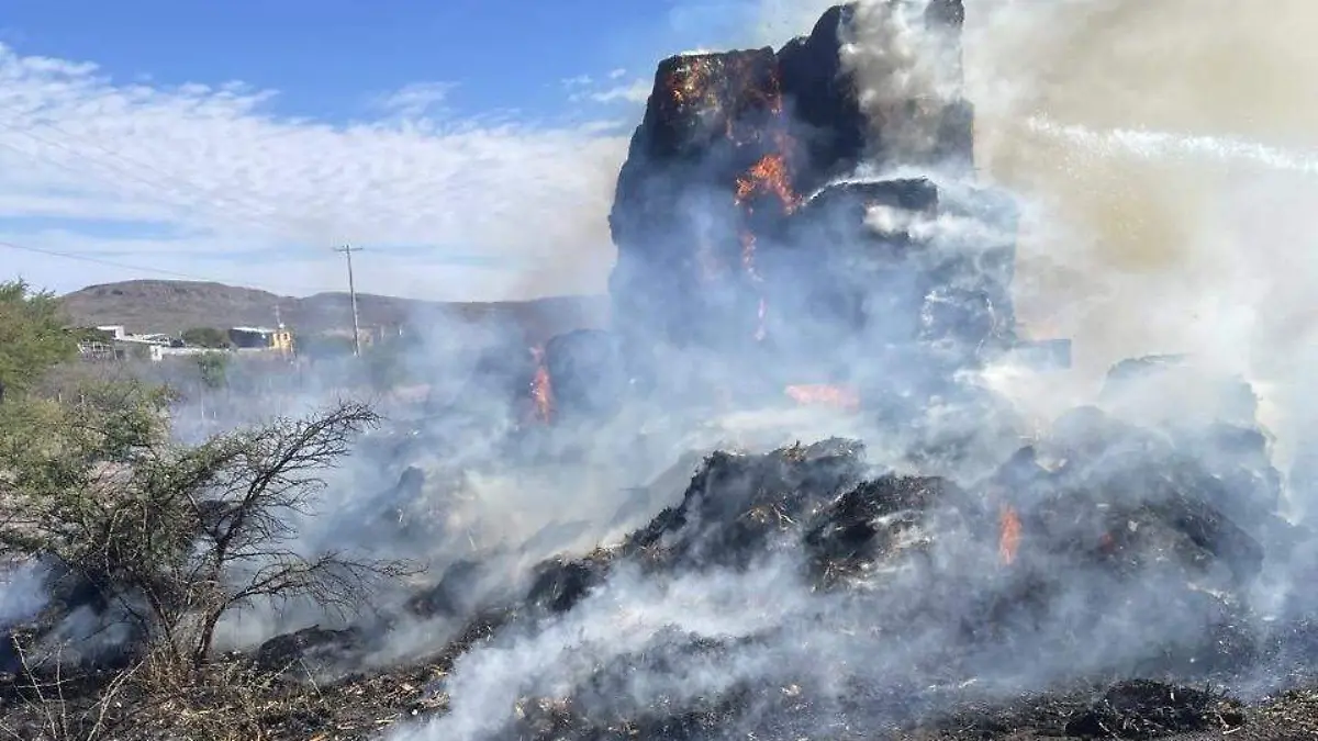 eccba30b-6e68-4b6f-9914-b370bc46318f