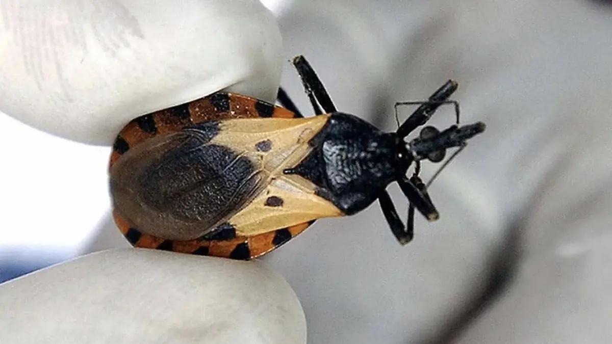 Captura de pantalla 2026-04-15 a la(s) 7.36.48 p.m.