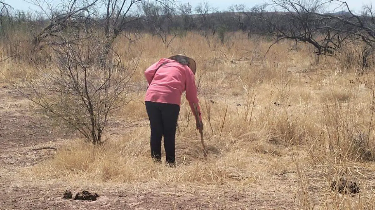 WhatsApp Image 2026-04-17 at 2.46.30 PM