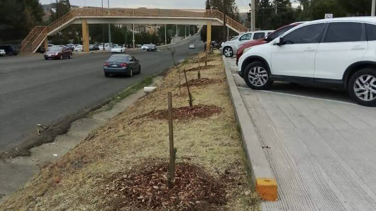 626462595_122188830734520736_8805478902881520885_n