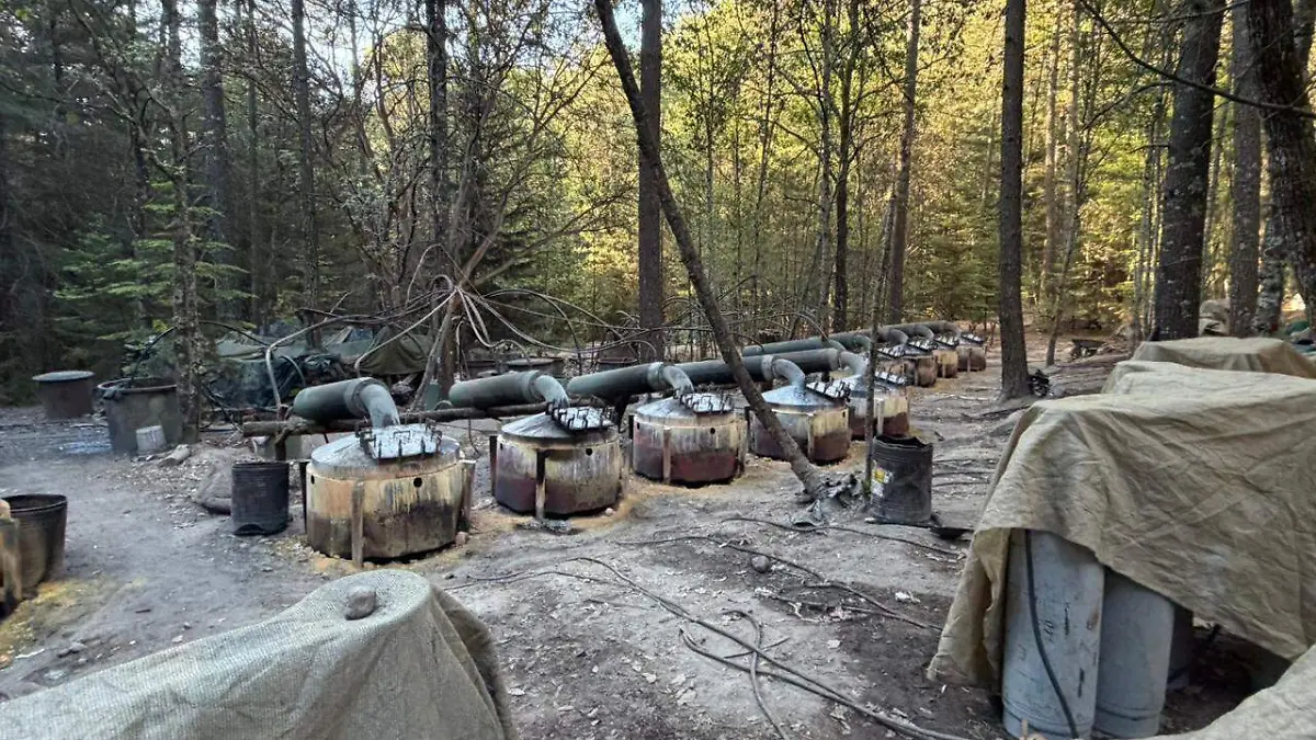 88f9fe5d-97d1-43c2-b499-ffbfc621d56e