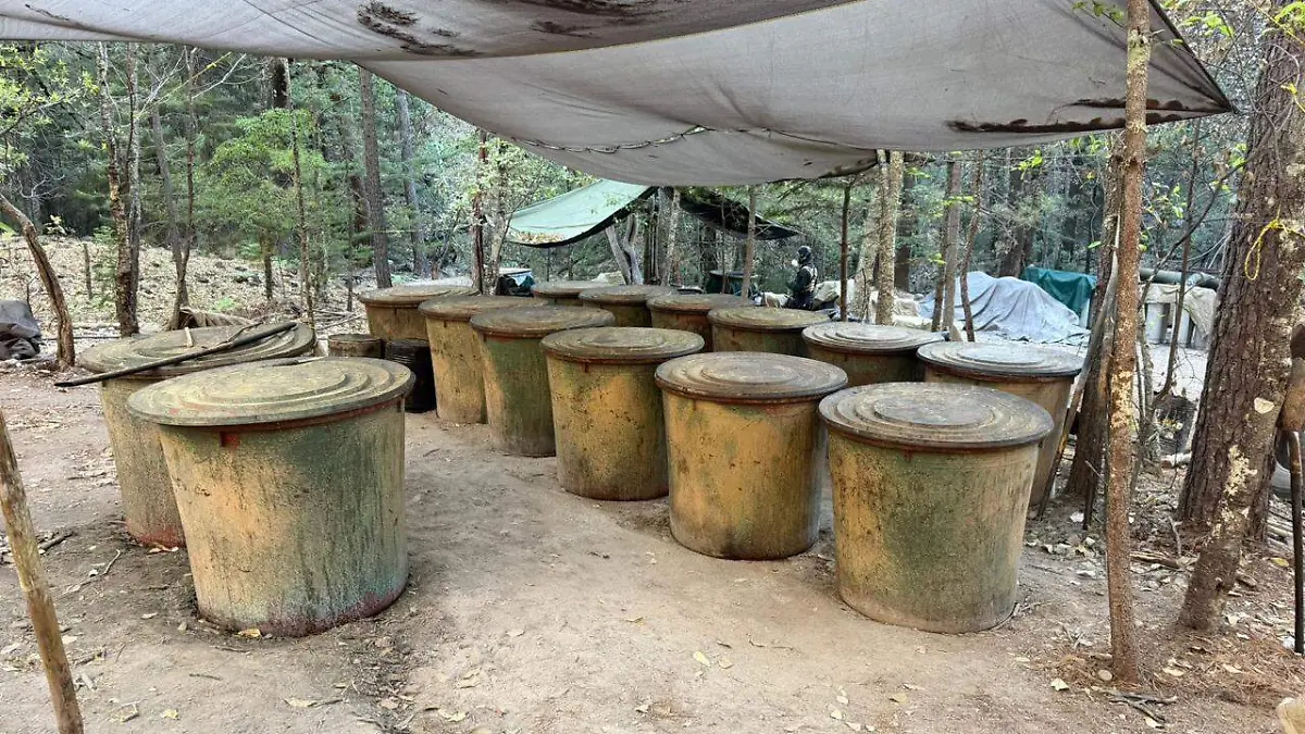 6b6b21a6-86dd-4082-9eb5-65d25a9641fd