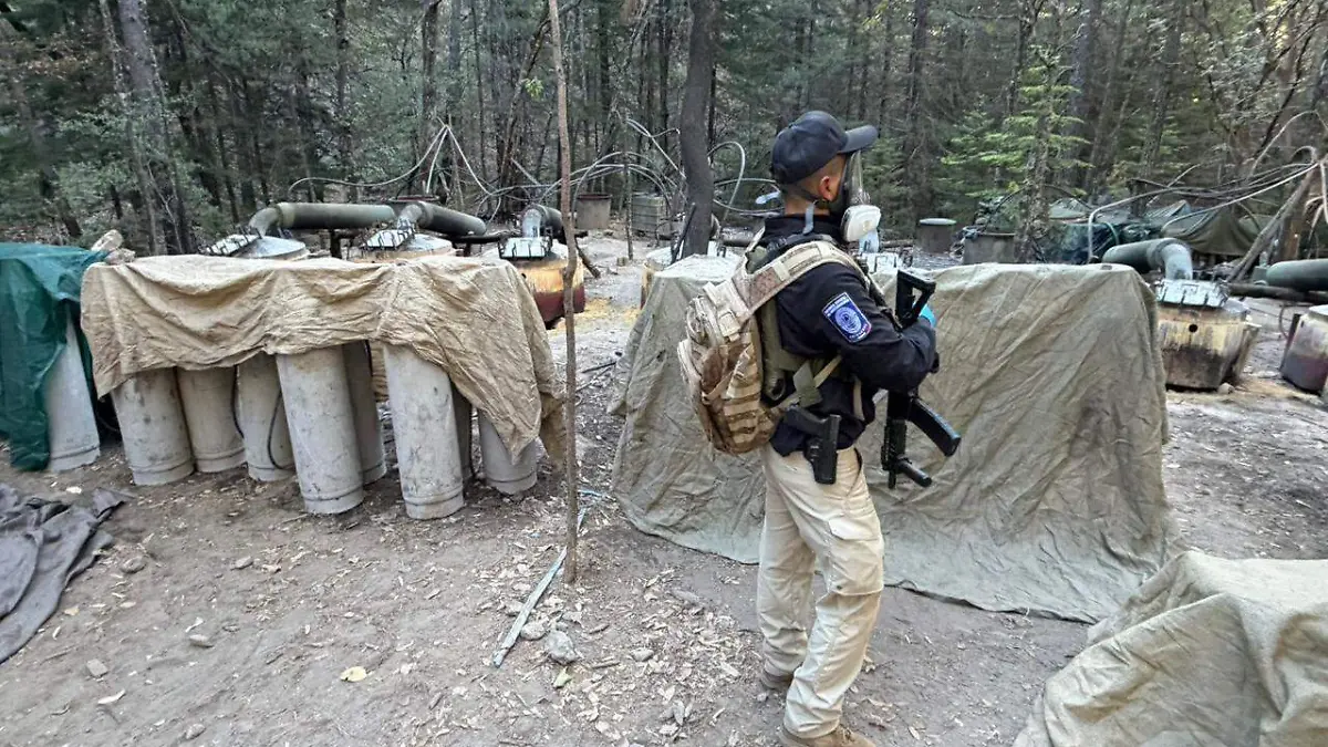 9d17d6ca-c9db-4495-910b-61dabf0ce2f7