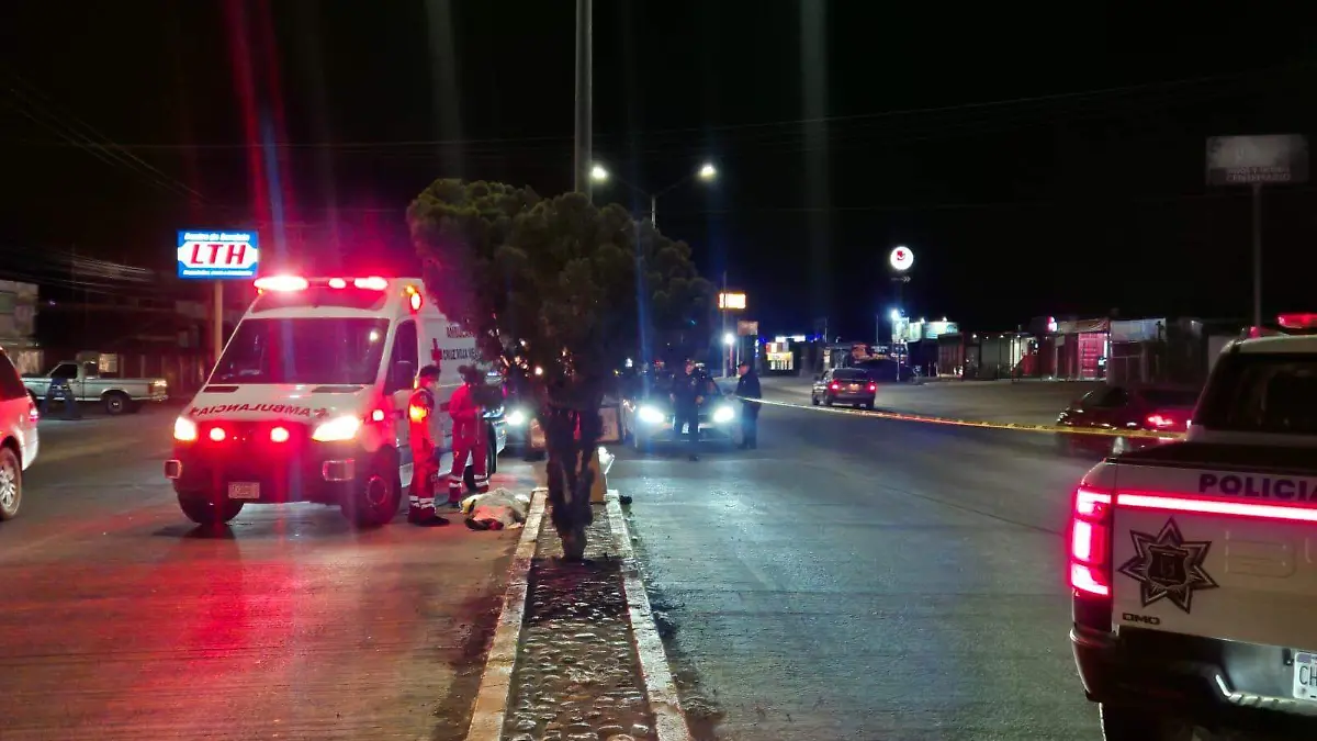 WhatsApp Image 2026-04-19 at 20.22.00