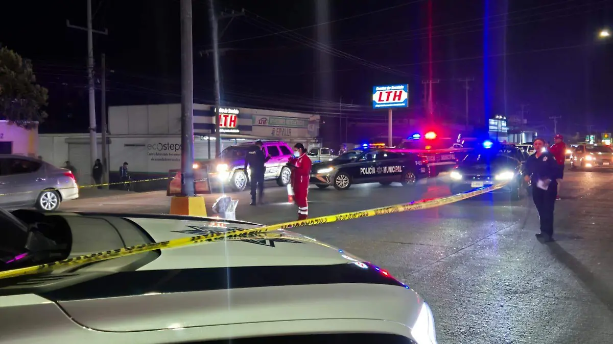 WhatsApp Image 2026-04-19 at 20.29.07