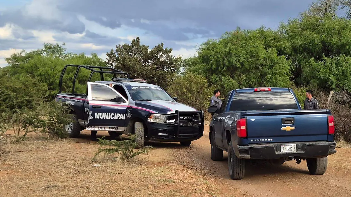 WhatsApp Image 2026-04-20 at 10.11.24 AM