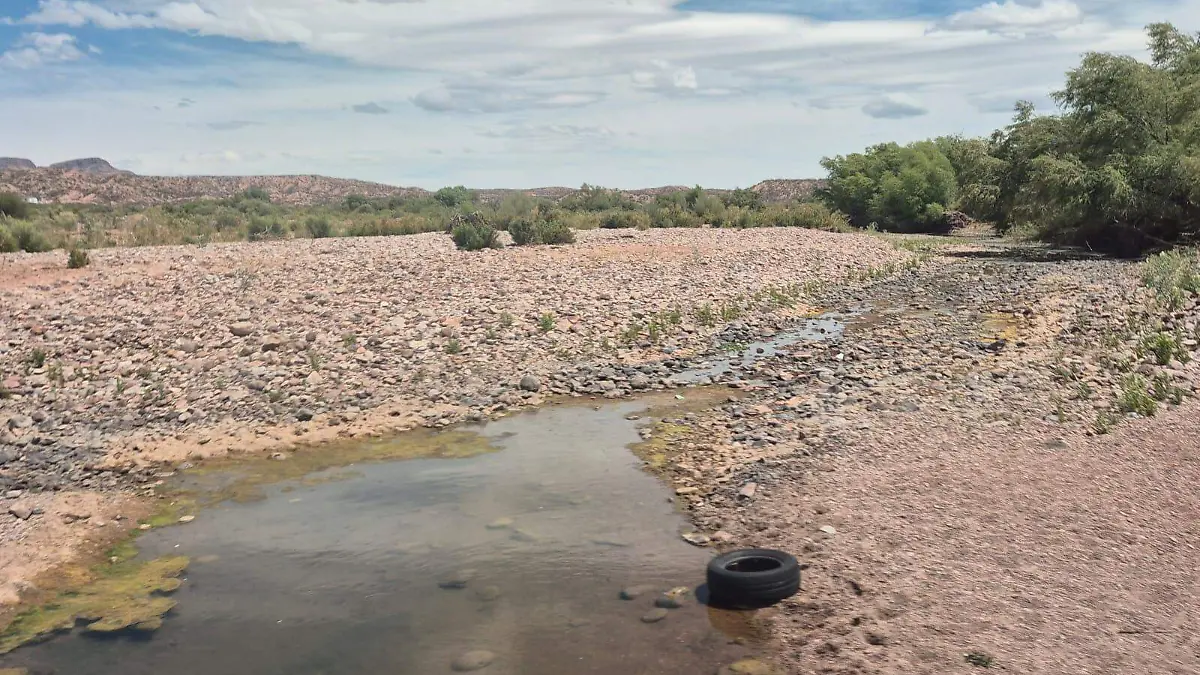 bf3ce6b9-acbc-446e-b38c-1457a67bc48e