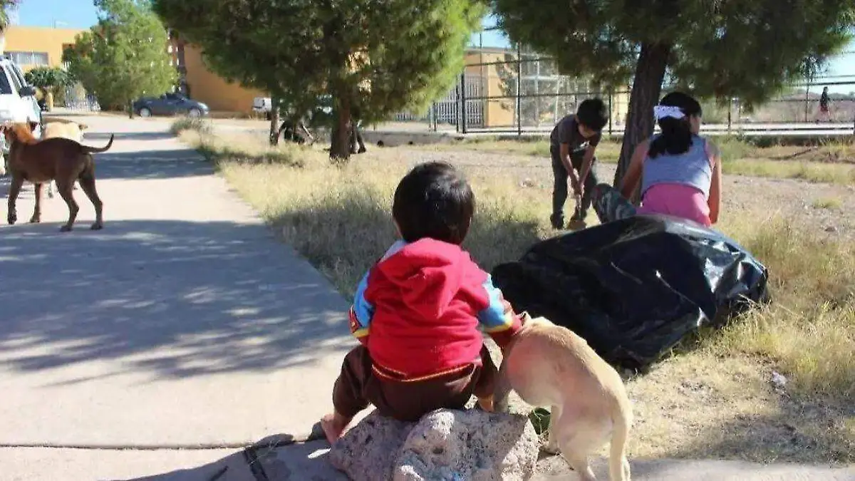 f58e4750-918d-4800-911a-df16257b16af