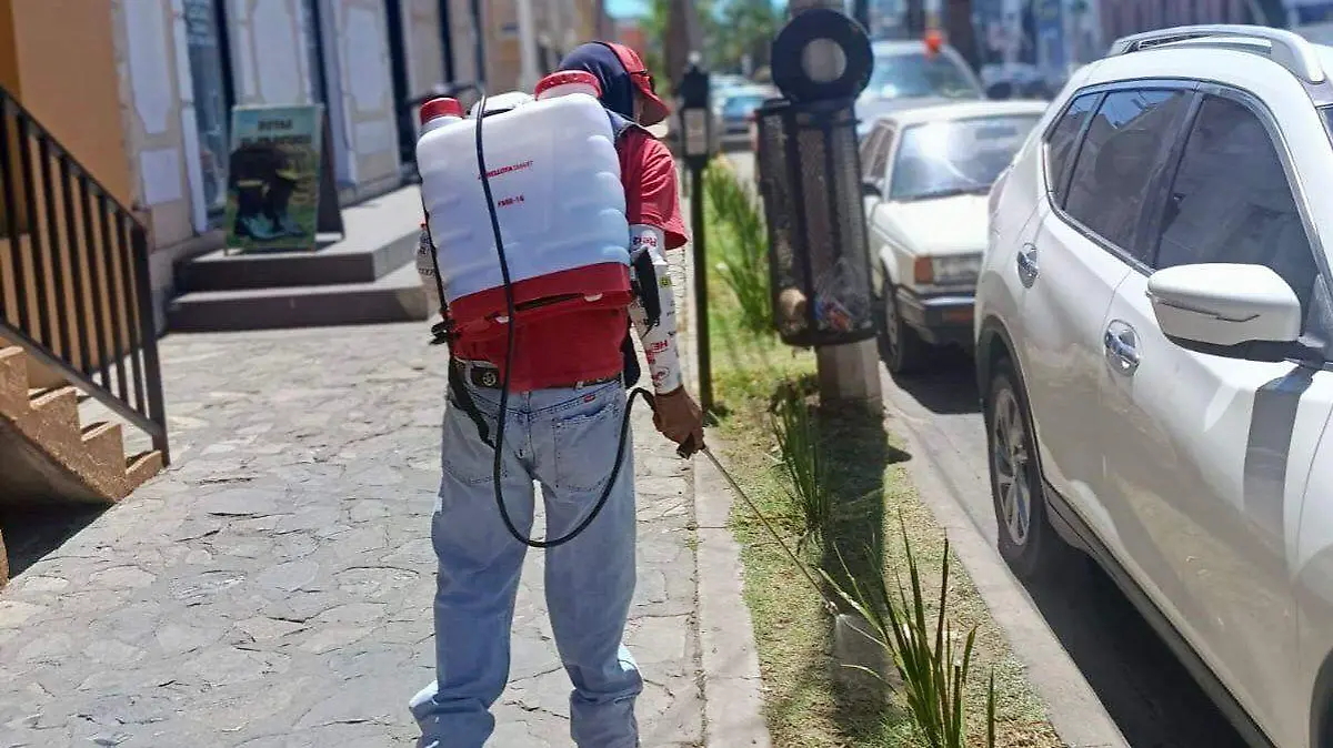 WhatsApp Image 2026-04-23 at 21.38.39