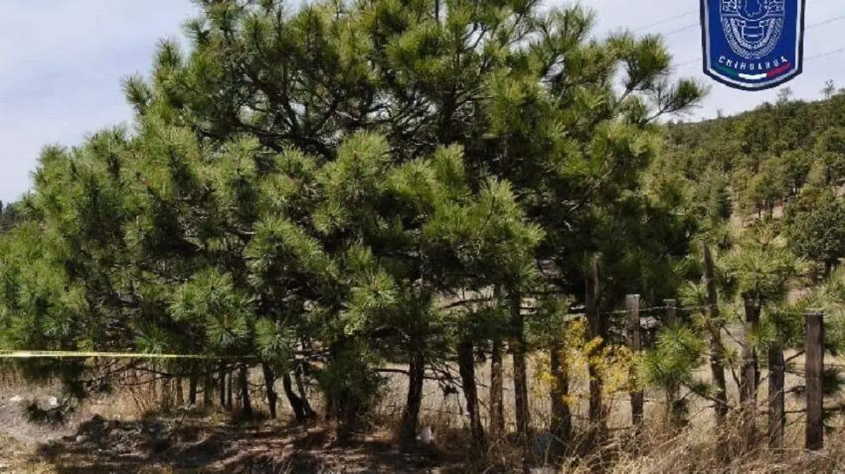 1cf8a131-1a66-4047-aef6-250ba4668ee4