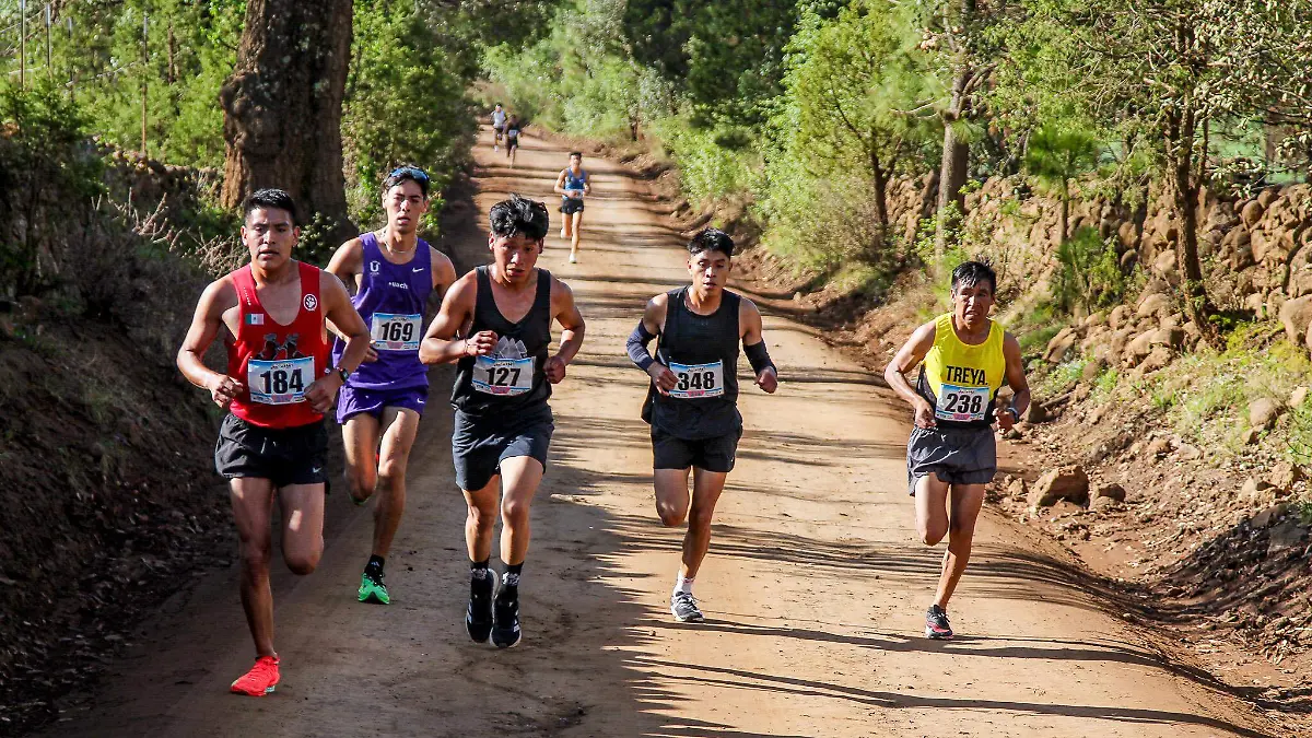 UMC-CORTESIA GOBIERNO MUNICIPAL DE GUACHOCHI (5)