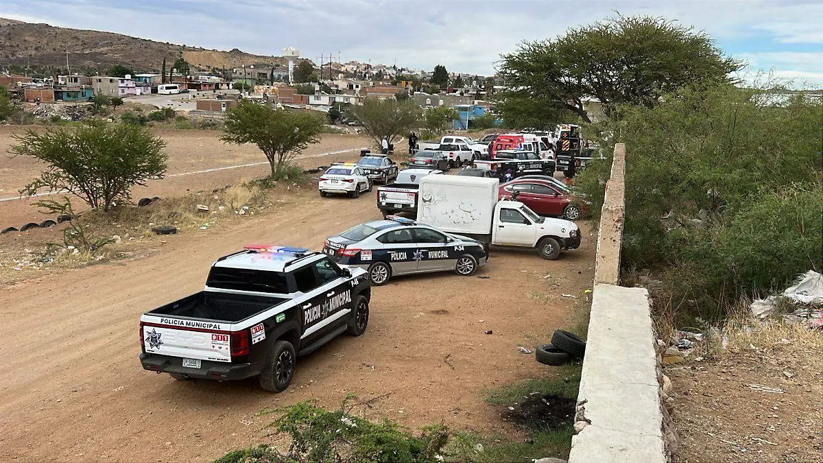 campos mingo luis murillo