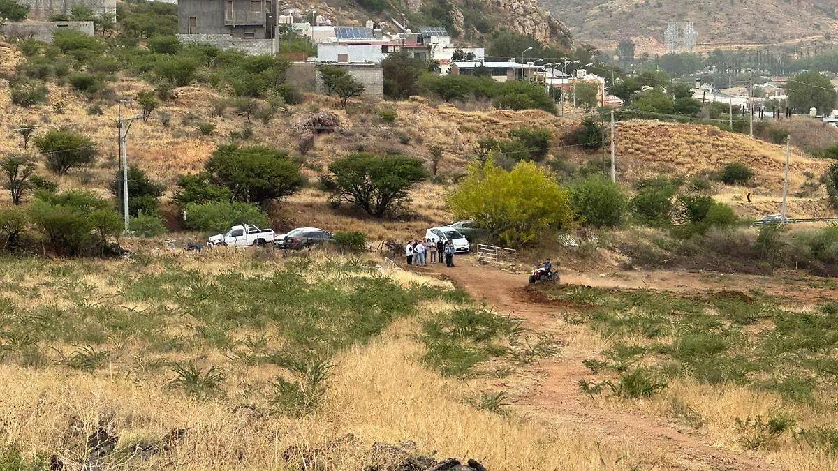 WhatsApp Image 2026-04-27 at 9.44.02 AM