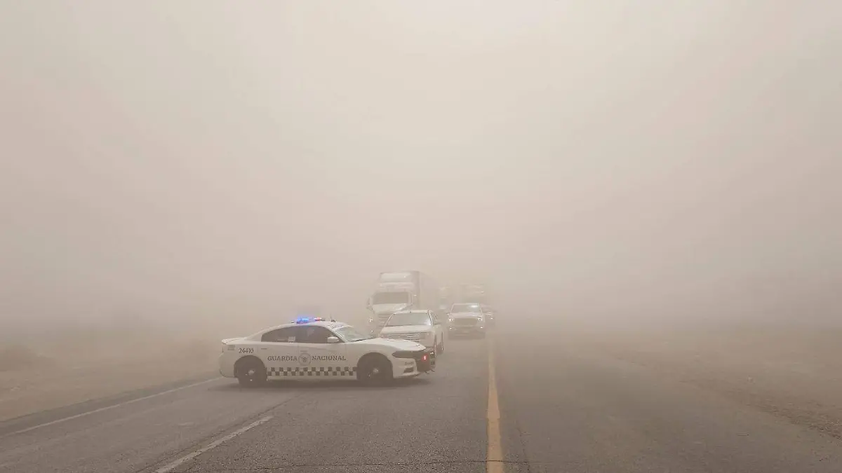 WhatsApp Image 2026-04-28 at 1.06.01 p.m.