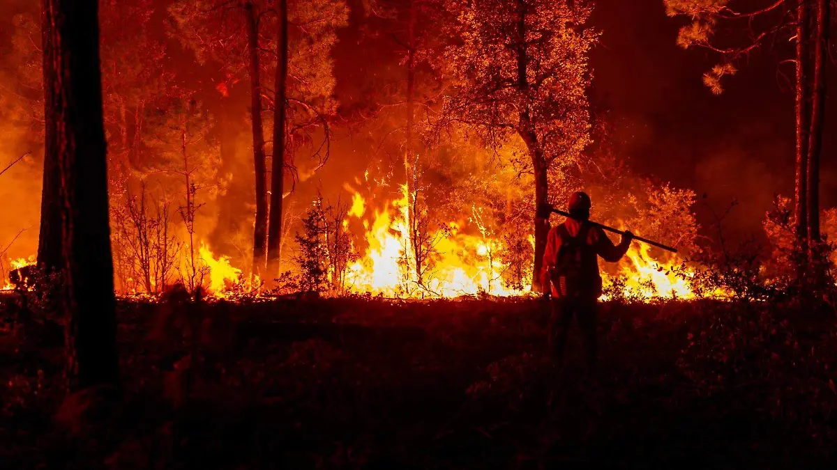 INCENDIO FORESTAL