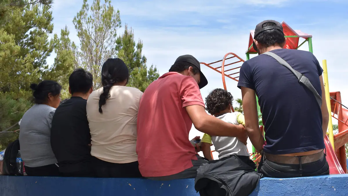 desplazados 8